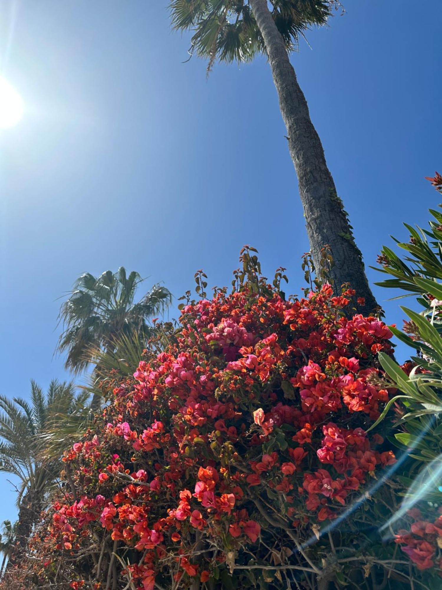 Relax Casa Costa Blanka Διαμέρισμα Santa Pola Εξωτερικό φωτογραφία