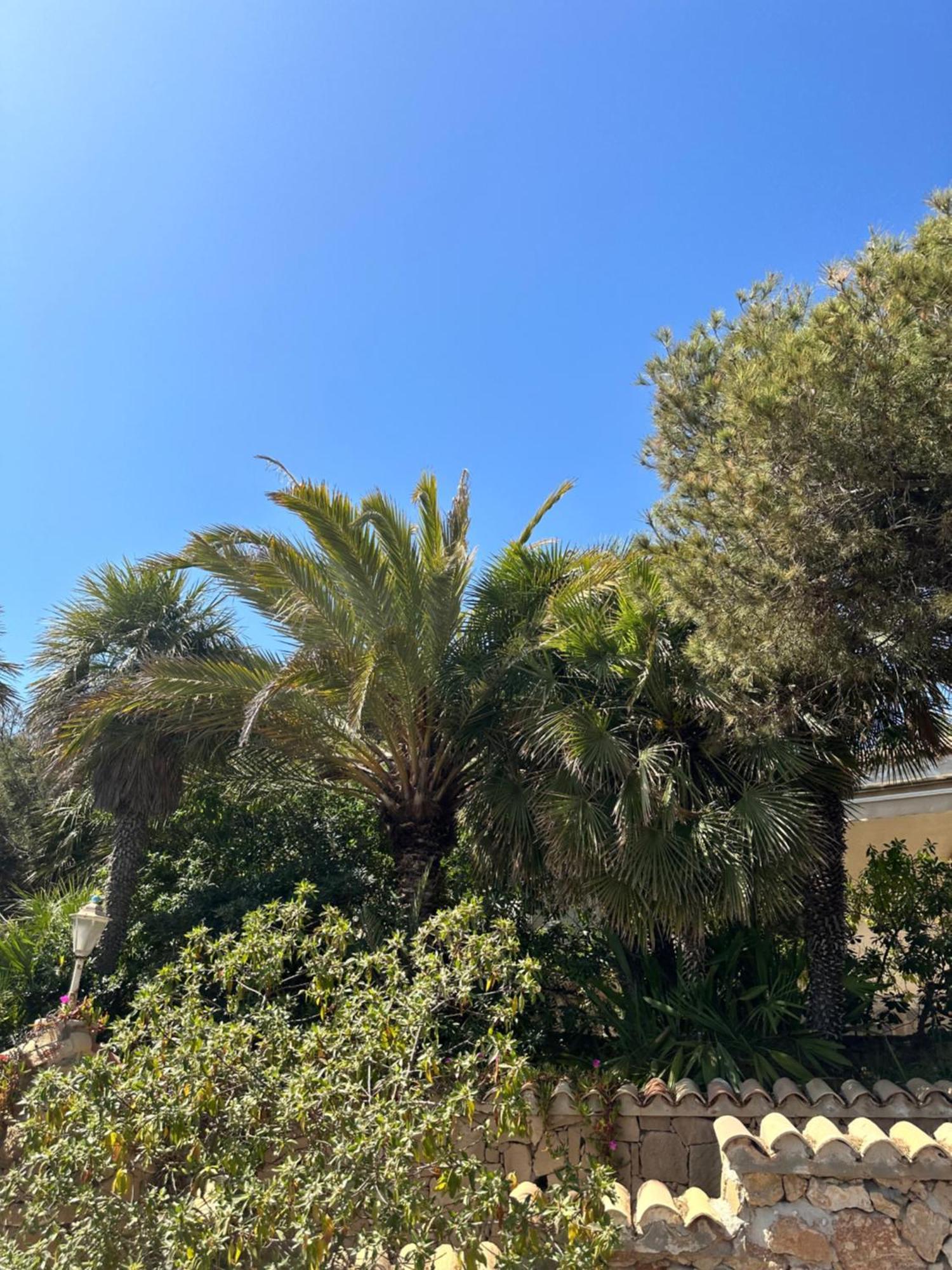 Relax Casa Costa Blanka Διαμέρισμα Santa Pola Εξωτερικό φωτογραφία
